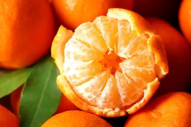 Potentes propiedades y beneficios de la mandarina