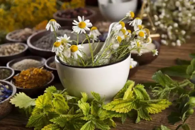 6 plantas medicinales que ayudan a tu piel